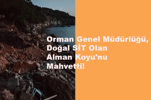 OGM, Doğal SİT Olan Alman Koyu’nu&nbsp;Mahvetti!