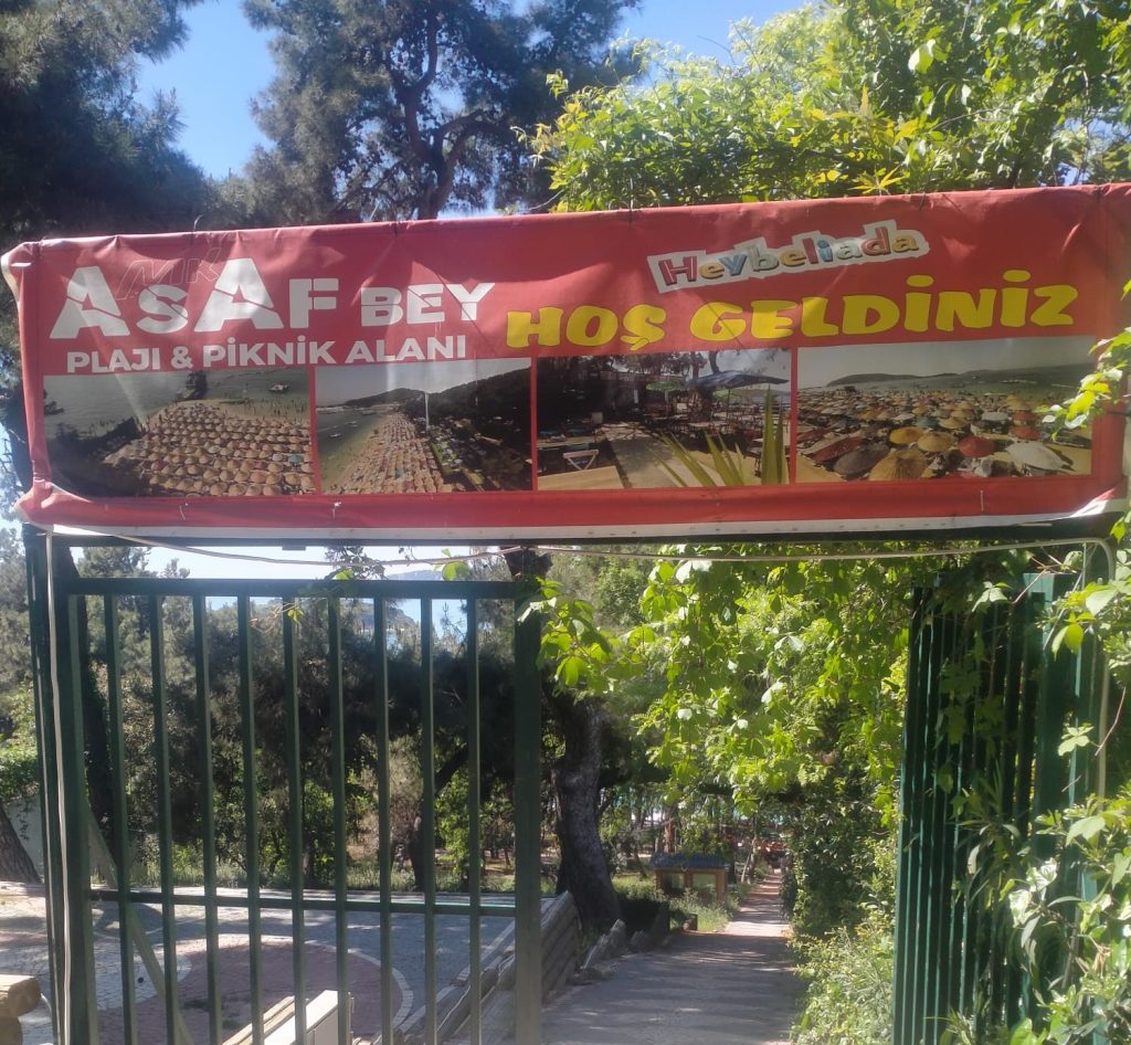 Talana, işgale, şiddete karşı ormanı, kıyıları, birlikte yaşamı&nbsp;savunuyoruz